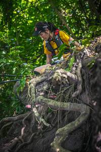 BIB: 
                            <button type="button" onclick="openModal(7072188)" class="btn btn-primary btn-sm float-right btn-popup" data-toggle="modal" data-target=".modal-high-quality">
                        <i class="fas fa-shopping-cart"></i> Add to Cart
                    </button>
                                            <button type="button" onclick="isThisMe(7072188, true)" class="btn btn-success btn-sm float-right btn-popup btn-isme hidden" data-toggle="tooltip" data-placement="bottom" title="นี่คือรูปของคุณใช่ไหม คลิกที่นี่เพื่อเอาเข้าอัลบั้ม">
                        <i class="fas fa-plus"></i> Add to album
                    </button>
                    <button type="button" onclick="isThisMe(7072188, false)" class="btn btn-warning btn-sm float-right btn-popup btn-isnotme hidden">
                        <i class="fas fa-ban"></i> Remove from album
                    </button>